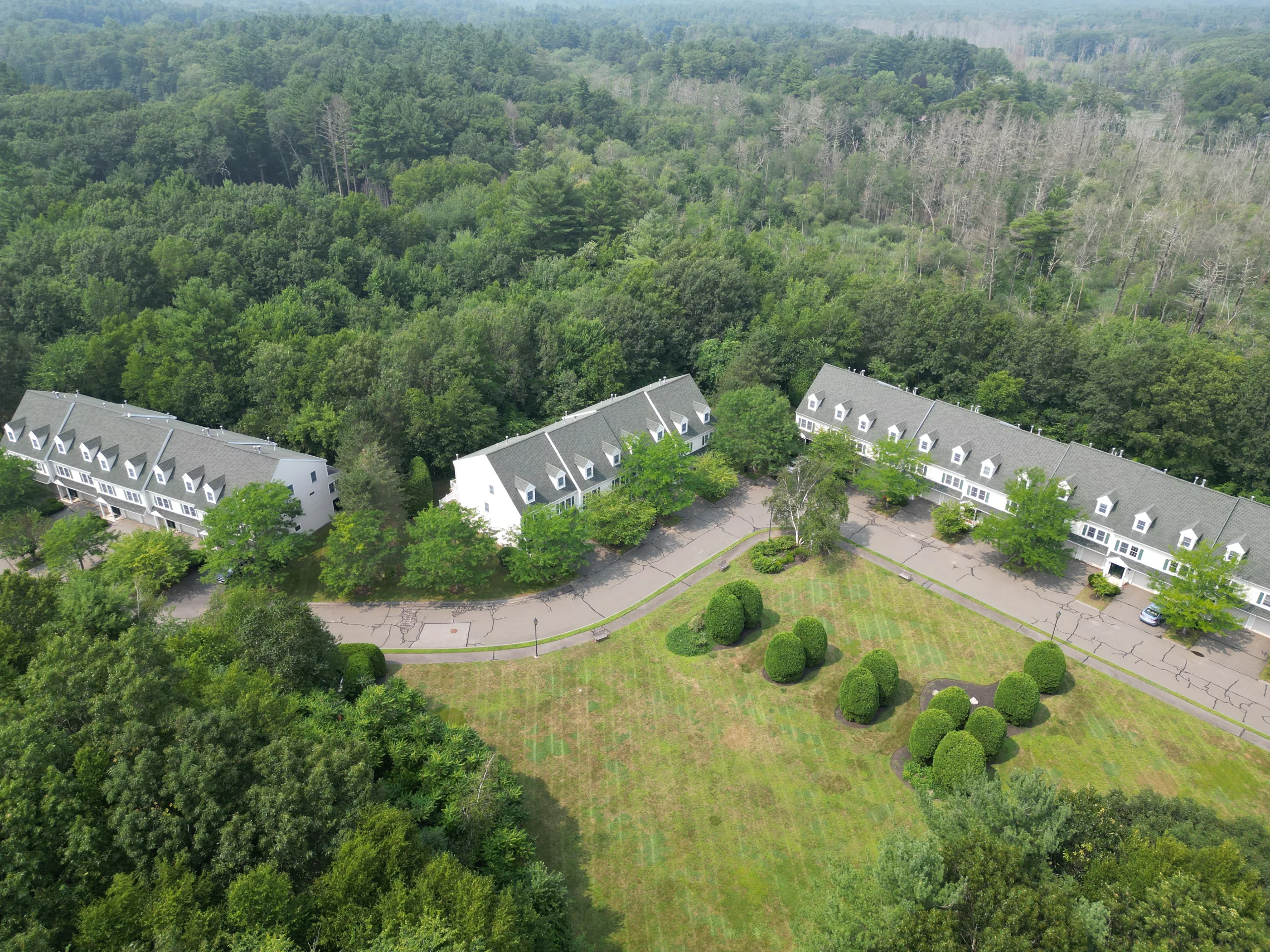 Evergreen Estates interior