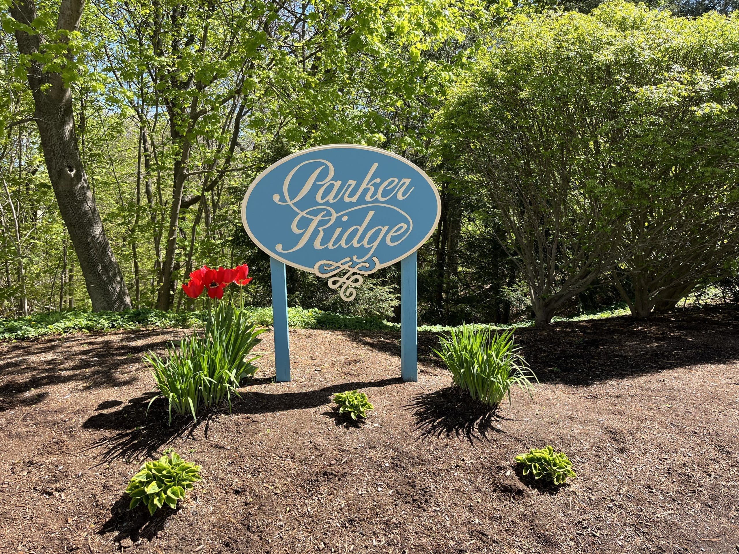 Parker Ridge interior