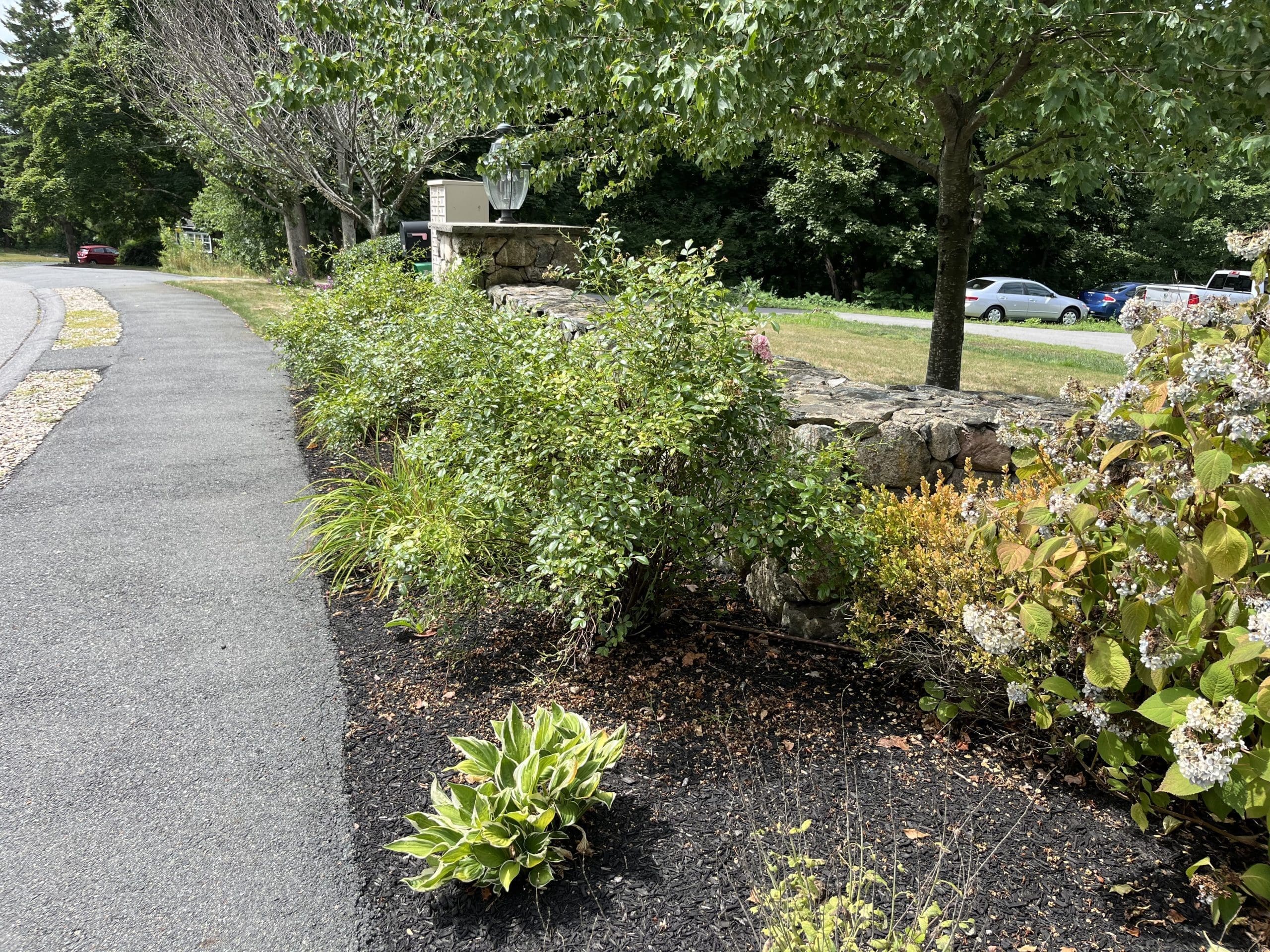 Edmunds Cove, Danvers interior